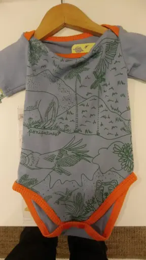 body cocora azul